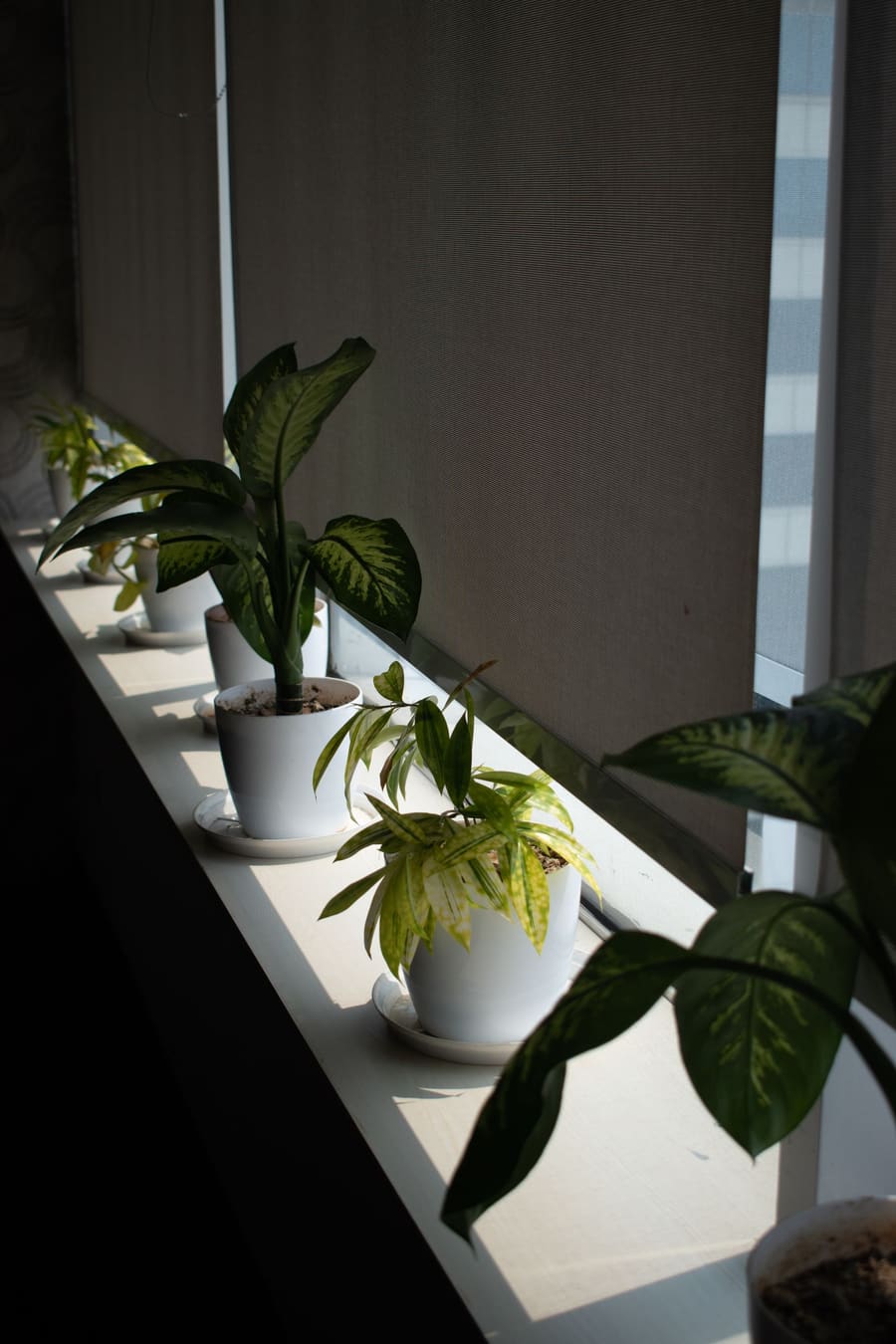 Blackout roller shade